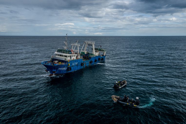 Snelle rubberboten van de maritieme natuurbeschermingsorganisatie Sea Shepherd volgen een groot Chinees vissersschip in de wateren voor Gambia, die daar leeggevist worden door Chinese vissersschepen.  Beeld Fábio Nascimento/The Outlaw Ocean Project