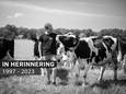Roeland dubt over zijn toekomst in de melkveehouderij van zijn ouders. Het bedrijf in de buurtschap Lemselo zou 12 hectare moeten afstaan voor natuurontwikkeling (Natura 2000).
