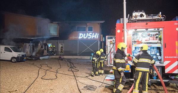 Beloning voor tip Dushi-branden Plasmolen