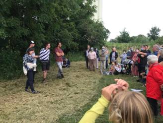Buurtbewoners dienen klacht in tegen schepen die natuurgebied in Herent opkoopt voor ‘belevingspark’: “Het wordt een sociale onderneming, ze mogen blij zijn dat ik het gekocht heb”