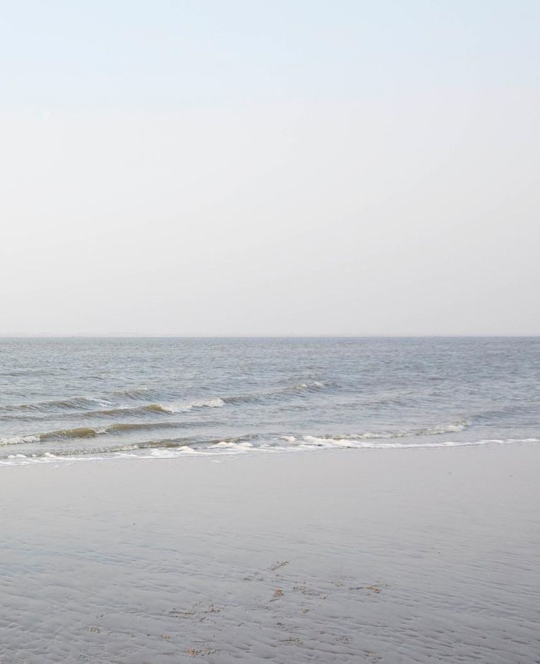 De Waddenzee Beeld anp