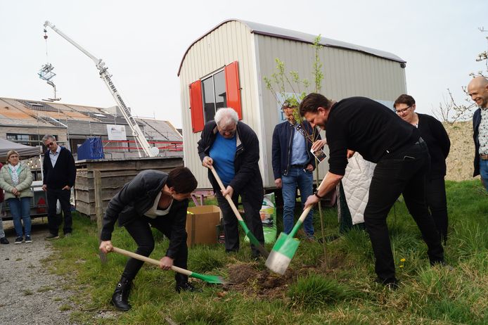 Els en Günther planten samen met burgemeester  Ivan Delaere (CD&V) de meiboom.