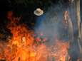 Amazonewoud staat in brand: alleen al dit jaar 72.000 vuurhaarden, president Bolsonaro knijpt oogje dicht