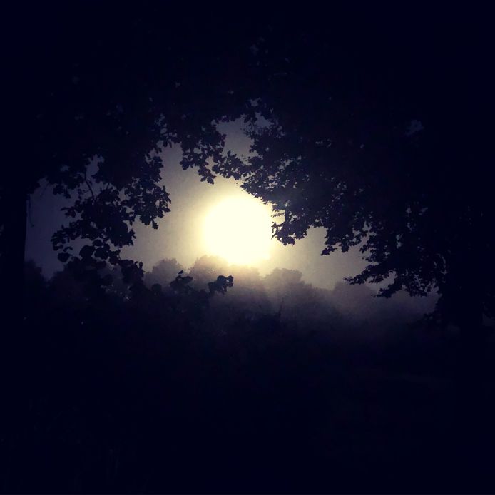 Maan en nevel, rond 6.30 uur in Wijchen.