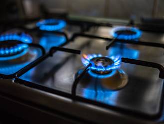Belgische gezinnen verbruikten vorig jaar vijfde minder aardgas