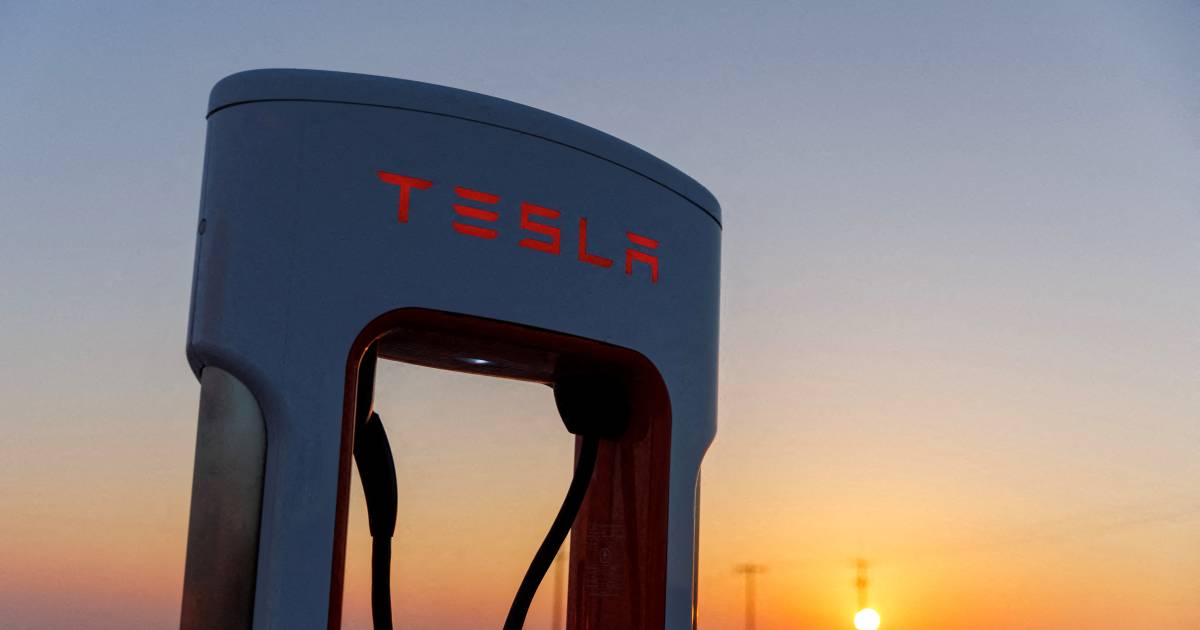 Un successo su Tesla in borsa dopo ripetuti tagli di prezzo |  compagnie automobilistiche
