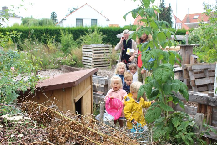Kinderopvang Clara di Luna heeft eigen moes- en fruittuin waarin kinderen hun groenten en fruit zélf kweken en plukken. I-pads en televisie zijn er niet welkom