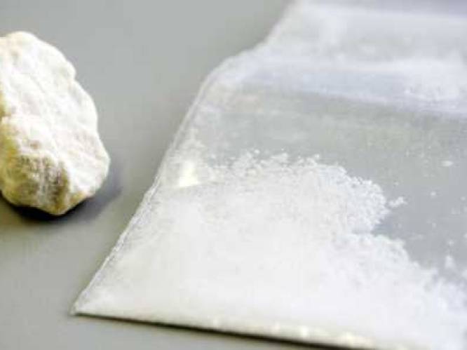 Douane vindt 124 kilo cocaïne bij bakbananen