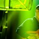 Review: Richard Hawley op Rock Werchter 2013 (The Barn)