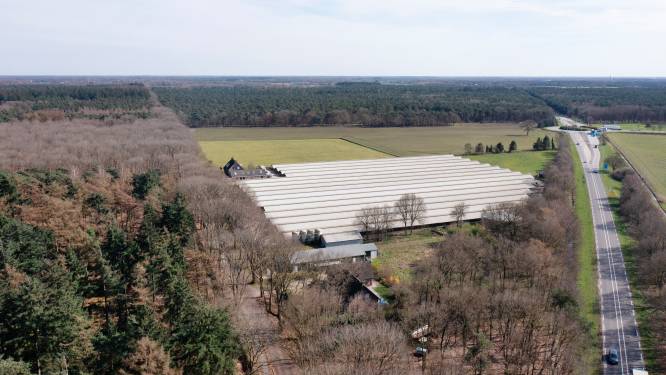 Enige buur snapt niks van Deurnes ‘nee’ tegen  arbeidsmigrantenwijkje: ‘Wij zijn juist vóór’