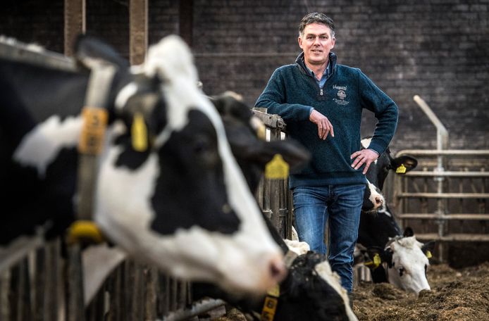 Ton Braspenning uit Strijbeek combineerde meldveehouderij met de lokale politiek in Alphen-Chaam en de provinciale politiek.