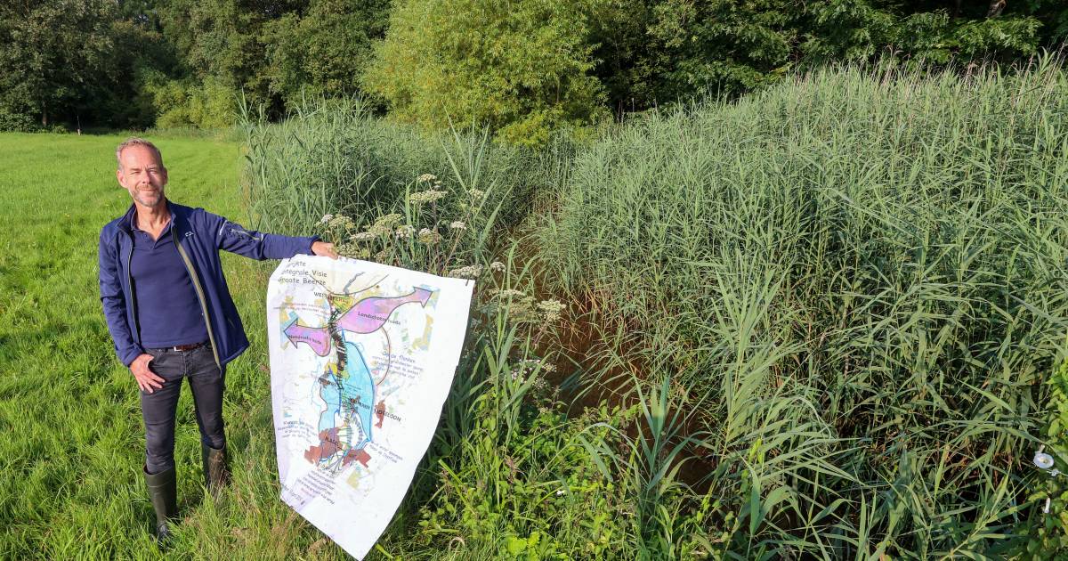 Dal van de Groote Beerze bij Westelbeers op de schop om water langer in gebied te houden