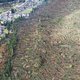 Door het noodweer in Italië zijn 14 miljoen bomen omgewaaid - Klopt dit wel?