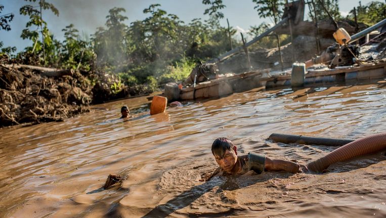 Een Peruaan zoekt naar goud in de modder in het Amazonewoud. Dat veroorzaakt ontbossing. Beeld Hollandse Hoogte