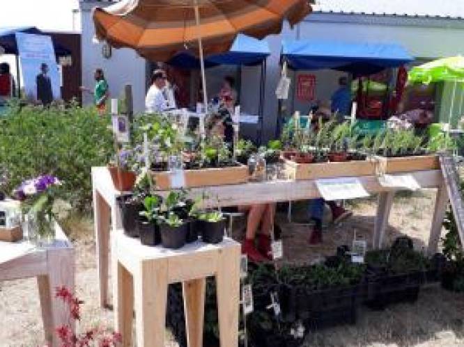 Opnieuw biomarkt in Assenede