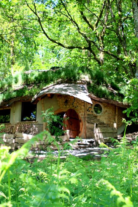 Oubliez tout, déconnectez-vous et dormez dans un “lit dans l’arbre”