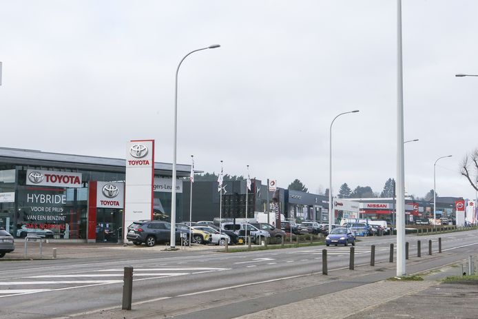 Na de werken zouden er minder conflicten moeten zijn met gemotoriseerd verkeer en fietsers op de fietspaden.