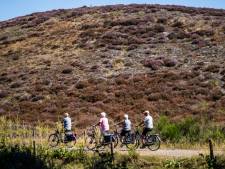 Rheden wil voorkomen dat e-biker met lege accu op de Posbank strandt: onderzoek naar laadpalennetwerk