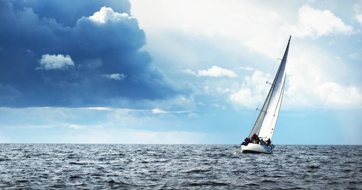 Sailboat sinks within 15 minutes after collision with whale, crew rescued after 10 hours |  Abroad
