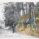 Plek ontdekt waar Van Gogh waarschijnlijk zijn laatste werk schilderde dankzij postkaart