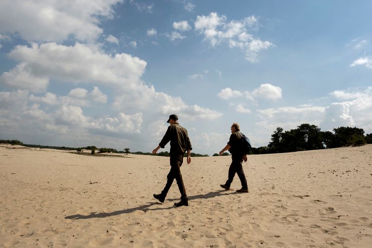 Toine Cooijmans (links) en Lex Querelle bij de ingang van de Loonse en Drunense Duinen.  Beeld Merlin Daleman