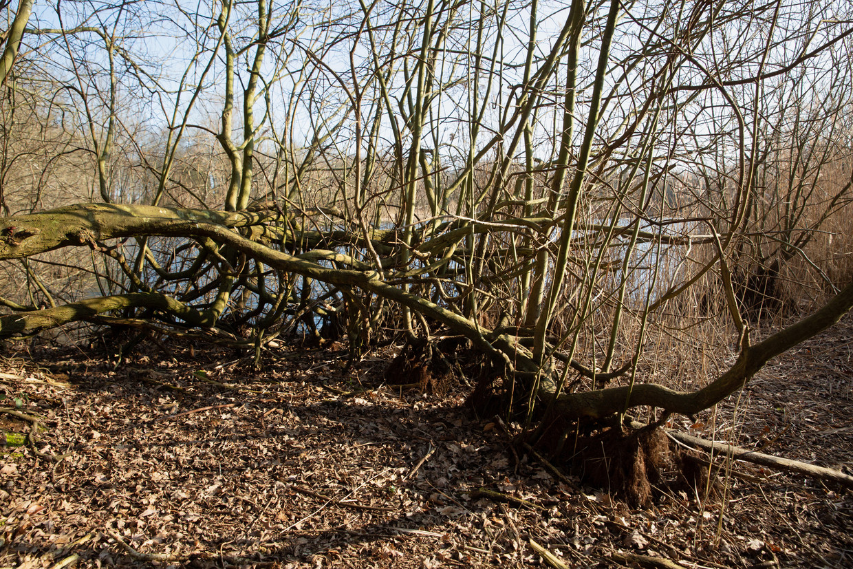 null Beeld Herman Engbers