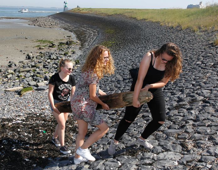 Julia, Lisa en Cato van het Zeldenrust-Steelantcollege vinden een boomstam op het strandje van De Griete