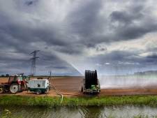 Extreme droogte: ‘Maak drinkwater duurder bij extra gebruik’