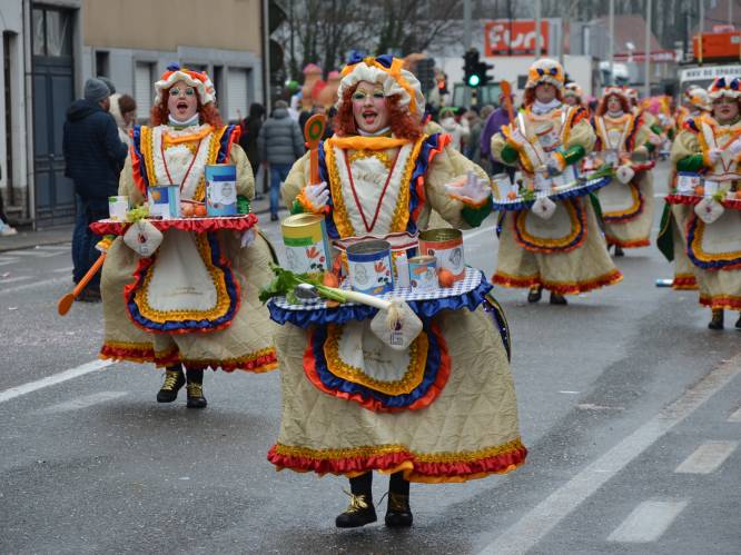 Thema voor carnaval Ninove 2025 is bekend