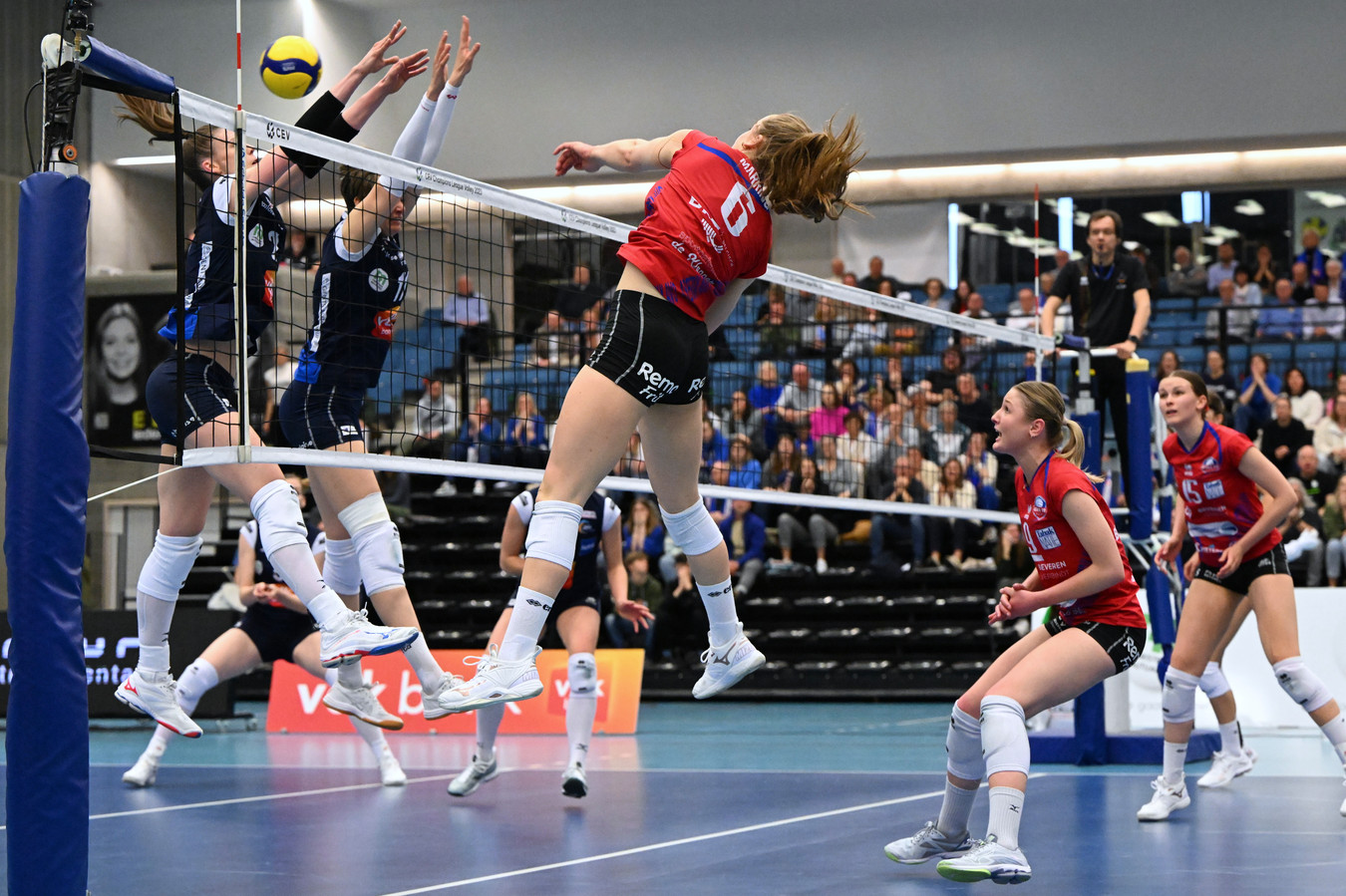 Asterix Avo wordt beloond voor een uitstekend seizoen tijdens de