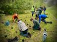 Leerlingen van PTS Mechelen plantten beemdkroon aan in natuurgebied Kauwendaal ten behoeve van de knautiabij.