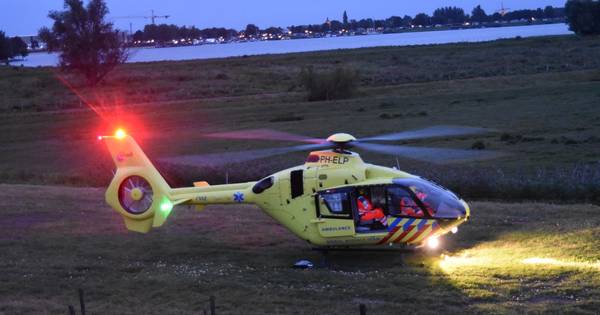 Vrouw gewond na val van paard in Zuilichem - BD.nl