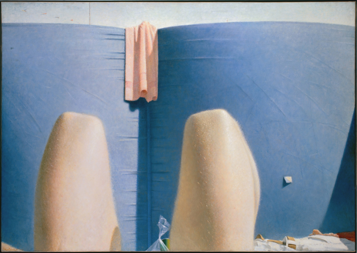 Windscherm, 1976 Beeld Pictoright