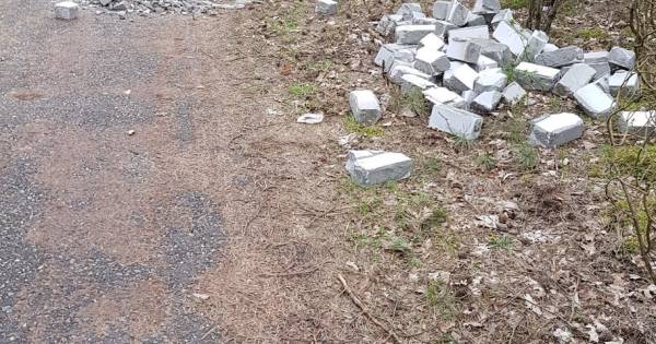 De milieustraat was goedkoper: mannen krijgen dikke boete voor dumpen puin in bos in Leende