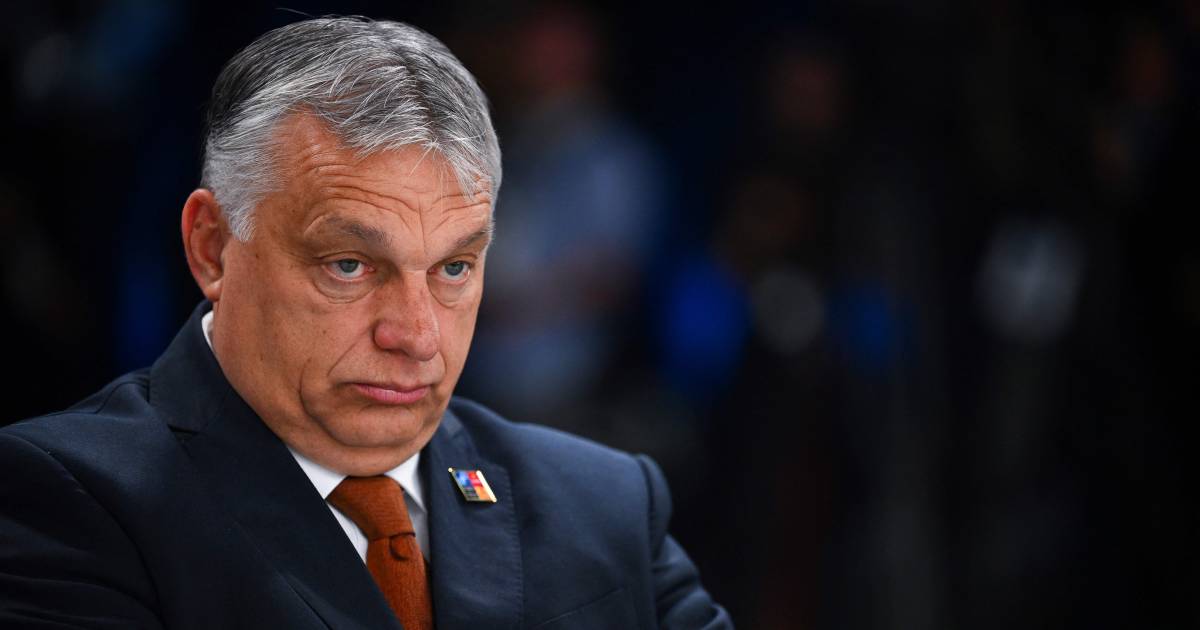 Kiev è arrabbiata per le dichiarazioni del primo ministro ungherese Orban: “L’Ucraina è diventata una terra di nessuno” |  Guerra Ucraina e Russia