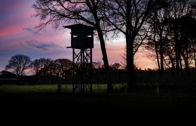 Alarm over illegale voerplekken voor wild in Vlierdense bossen