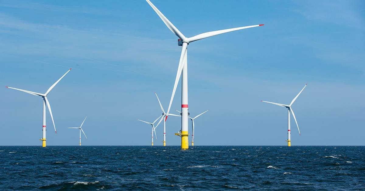 Il governo federale approva gli standard della regione II per l’eolico offshore |  interno