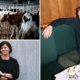 ‘Na 30 jaar hard werken verwacht je een warmer afscheid’: 9 verhalen die u na dit weekend kunt lezen