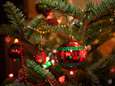 Uw kerstboom: ballen, slingers... en 25.000 (!) insecten