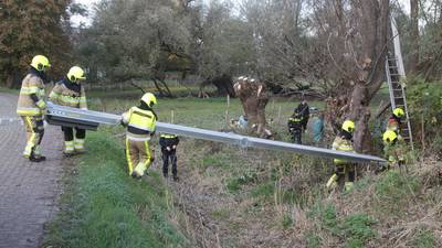 Man raakt gewond in Ooij bij rooien van bomen