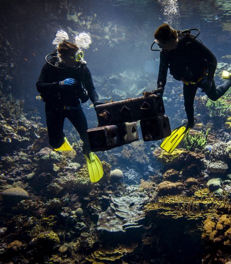 Met deze Delftse uitvinding kunnen beschadigde koraalriffen gerestaureerd worden