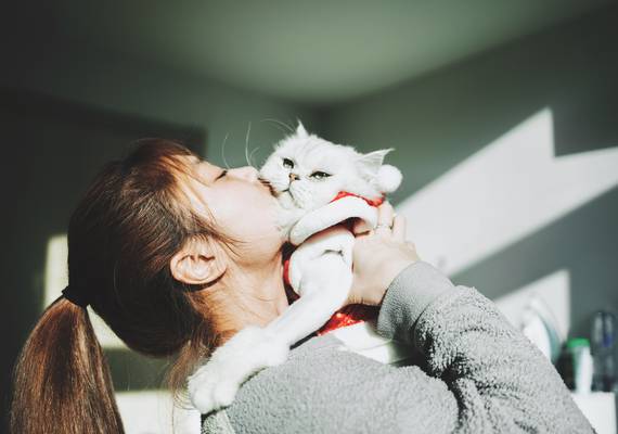 Waarom katten niet van kusjes houden