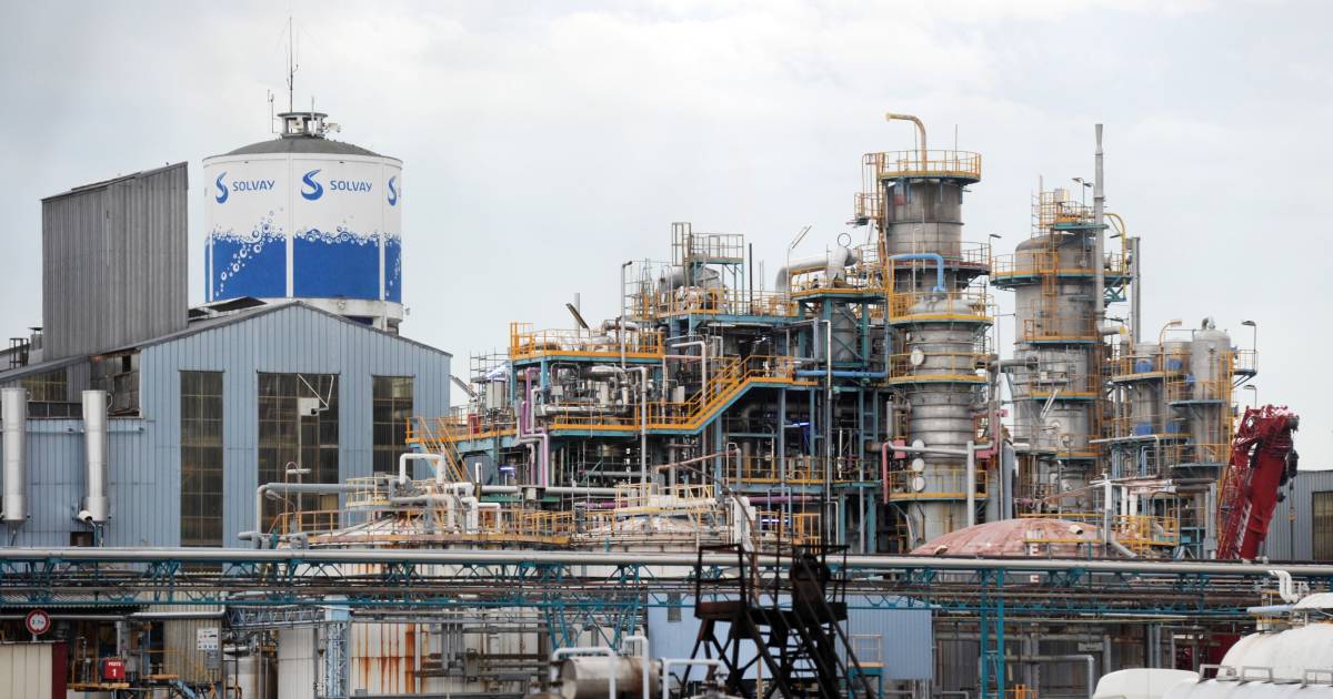 Questi belgi si nascondono nei paradisi fiscali: le famiglie di Solvay, ex capo della VRT Limbrechts ed ex amministratore delegato di Dexia |  Notizia