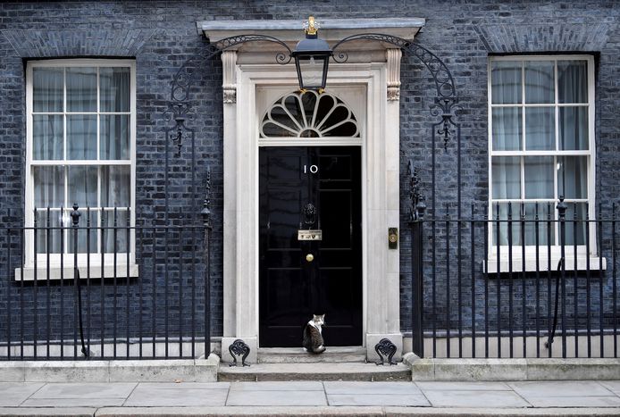 Larry, de kat van Downing Street 10 in Londen, wacht netjes voor de deur tot deze geopend wordt. Foto Toby Melville