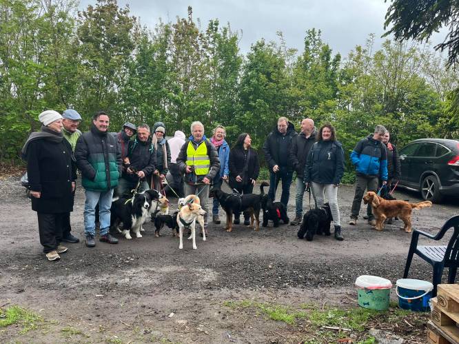 Solidaire hondenwandeling lokt meer dan 70 dierenvrienden naar De Knuffelpootjes. 