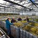 Op zoek naar het ideale grasland dat CO2 opslaat en hoosbuien opvangt