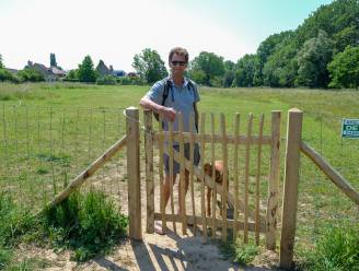Nieuwe hondenweide in Wemmel is succes: “Voor honden, maar ook voor baasjes”