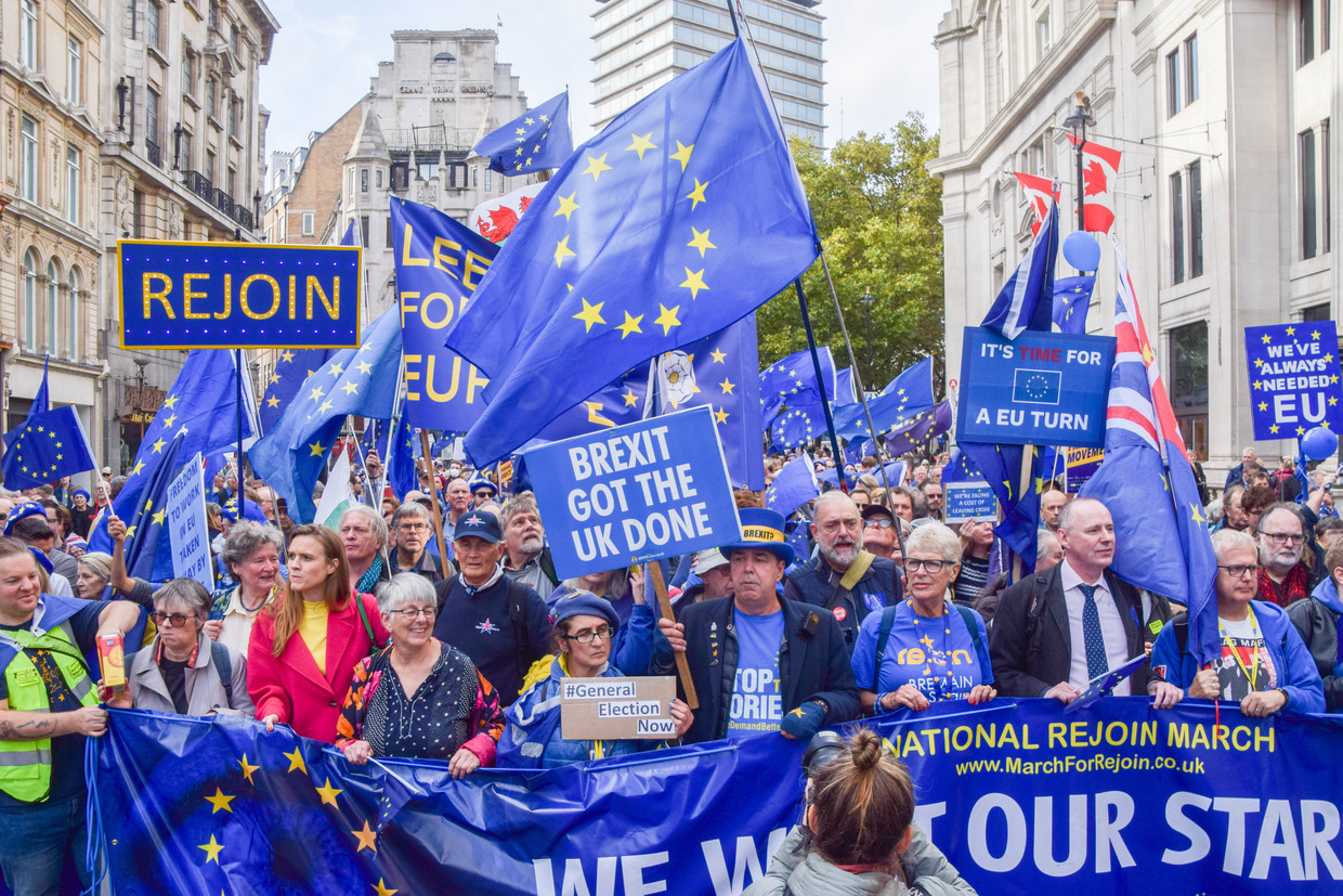 Anti-brexitdemonstranten met betogen dat het VK weer lid moet worden van de Europese Unie. Beeld SOPA Images/LightRocket via Gett