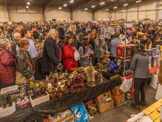 Schuifelend op zoek naar dat ene mooie kopje of beeldje: de vlooienmarkt in Goes is in trek