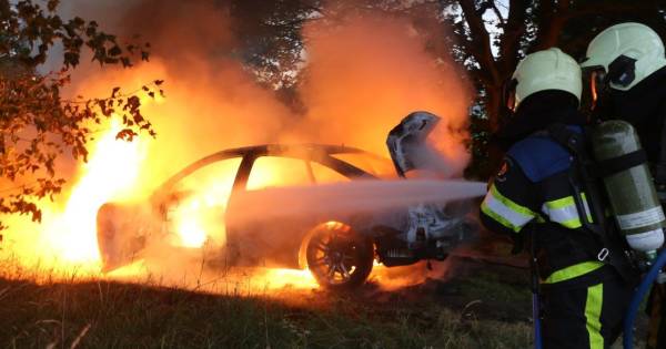Gestolen auto brandt volledig uit in de bossen bij Cromvoirt